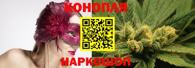 стаф Кинель