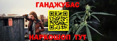 прущие крисы Кингисепп