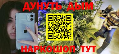 прущие крисы Кингисепп