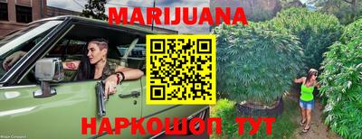 прущие крисы Кингисепп