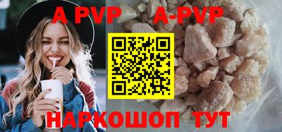 прущие крисы Кингисепп