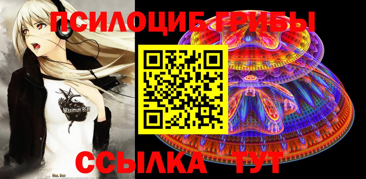 Коломна  Псилоцибиновые грибы прущие грибы  Вход с VPN  Галлюциногенные грибы Cubensis 